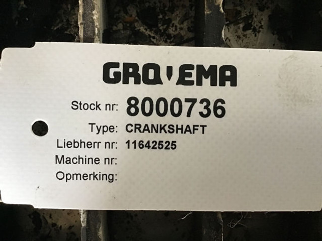 Liebherr Crankshaft - Vilebrequin: photos 2 Liebherr Crankshaft - Vilebrequin: photos 2