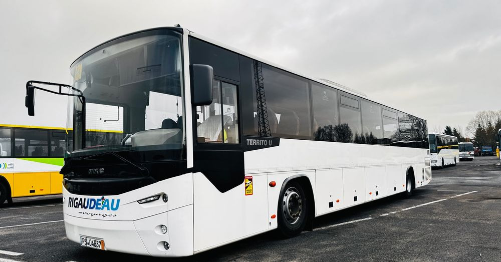 MAN MAN Otokar Territo / KLIMA / euro 5 / silnik MAN / mały przebieg / CENA: 159000 zł netto - Bus interurbain: photos 1 MAN MAN Otokar Territo / KLIMA / euro 5 / silnik MAN / mały przebieg / CENA: 159000 zł netto - Bus interurbain: photos 1