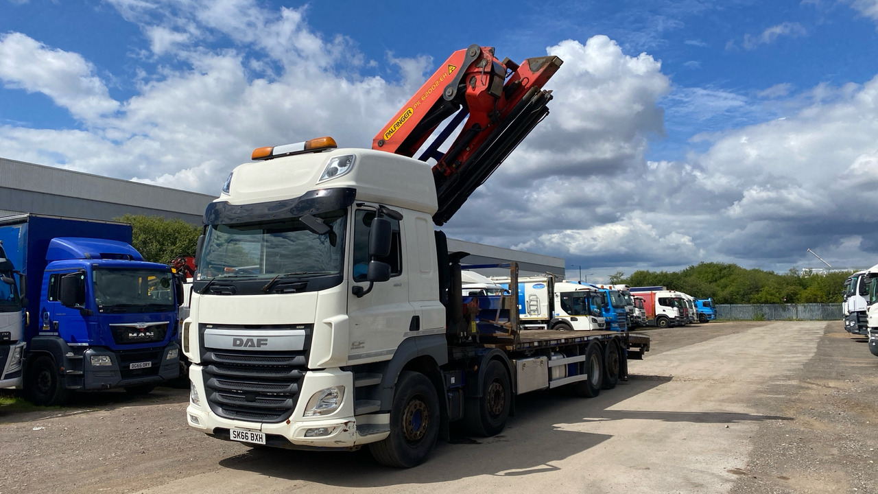 DAF CF 460 - Camion plateau, Camion grue: photos 2 DAF CF 460 - Camion plateau, Camion grue: photos 2