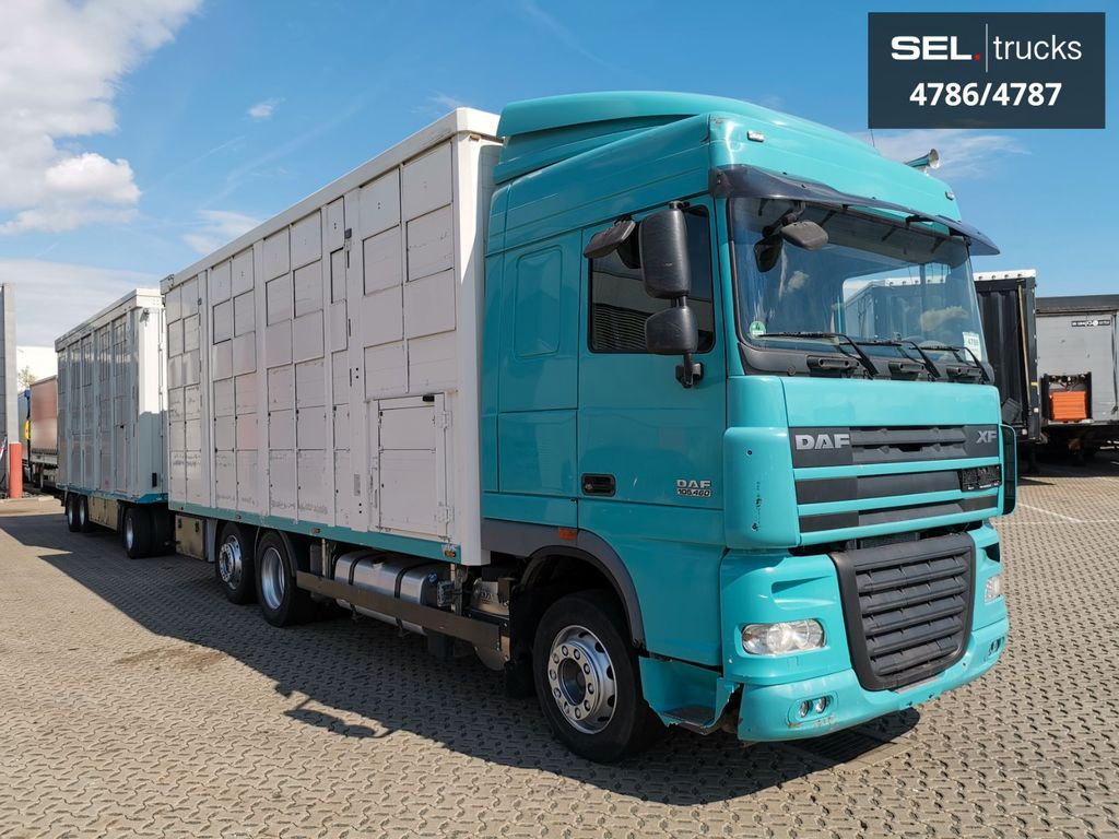 DAF XF 105.460 / Intarder / 4 Stock / KOMPLETT ! - Camion bétaillère: photos 4 DAF XF 105.460 / Intarder / 4 Stock / KOMPLETT ! - Camion bétaillère: photos 4