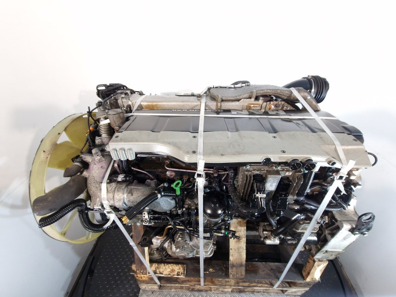 Moteur pour Camion MAN D2066 LF81 Engine (Truck): photos 9