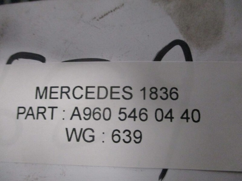 Mercedes-Benz A 960 546 04 40 CHASSIS MODULEN - Système électrique pour Camion: photos 2 Mercedes-Benz A 960 546 04 40 CHASSIS MODULEN - Système électrique pour Camion: photos 2