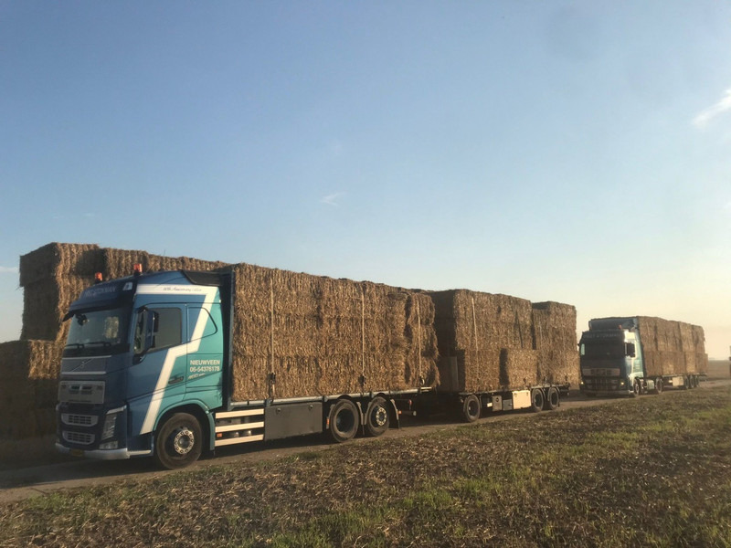Volvo FH460, HMF 1244 Skip loading platform - Camion grue: photos 5 Volvo FH460, HMF 1244 Skip loading platform - Camion grue: photos 5