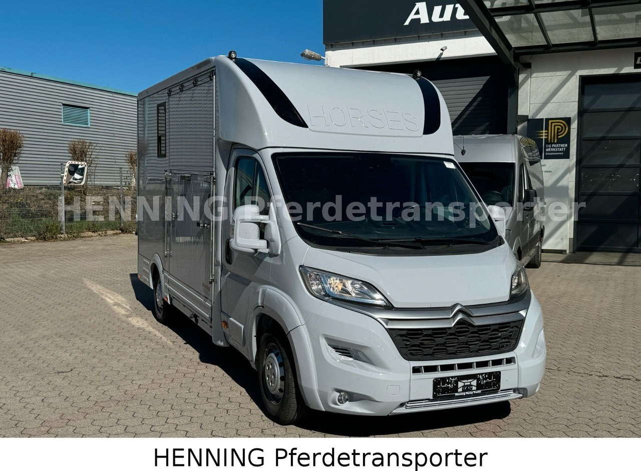 Citroën Jumper 3 - Sitzer - Camion chevaux: photos 2 Citroën Jumper 3 - Sitzer - Camion chevaux: photos 2