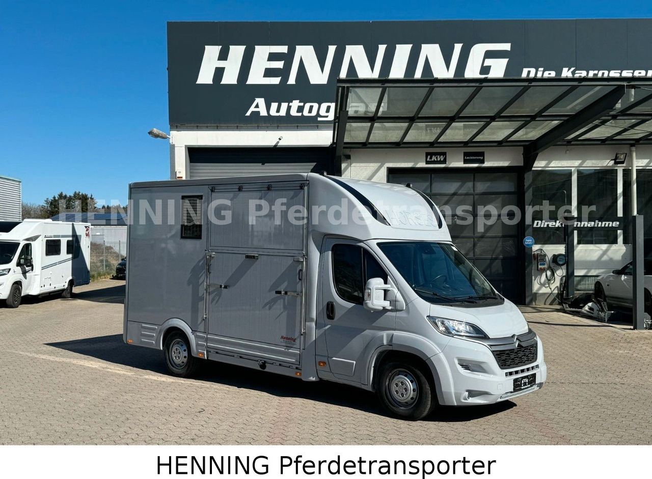Citroën Jumper 3 - Sitzer - Camion chevaux: photos 1 Citroën Jumper 3 - Sitzer - Camion chevaux: photos 1