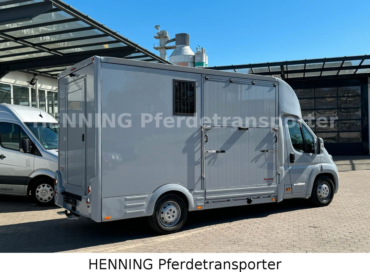 Citroën Jumper 3 - Sitzer - Camion chevaux: photos 3 Citroën Jumper 3 - Sitzer - Camion chevaux: photos 3