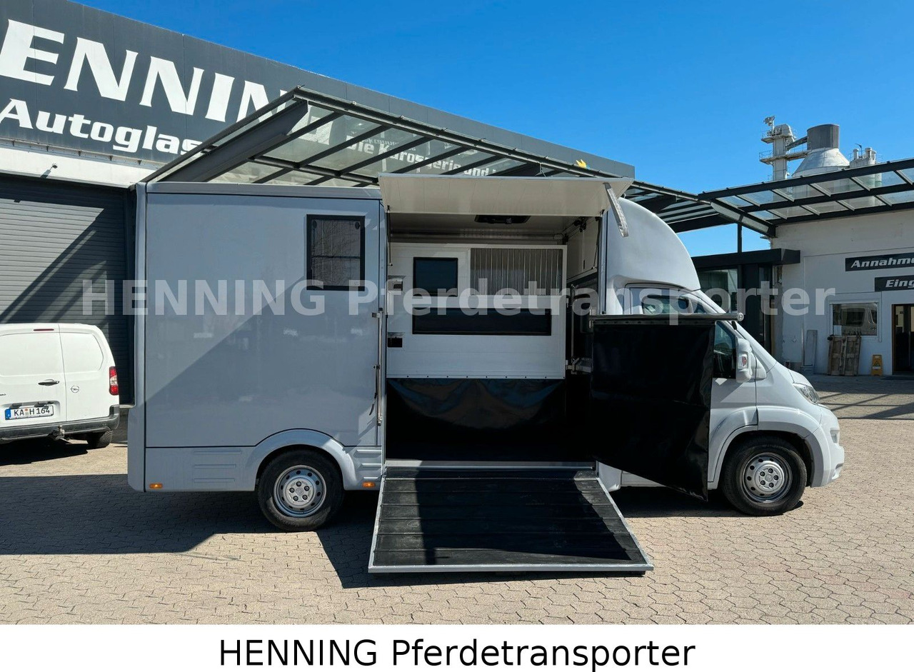 Citroën Jumper 3 - Sitzer - Camion chevaux: photos 5 Citroën Jumper 3 - Sitzer - Camion chevaux: photos 5