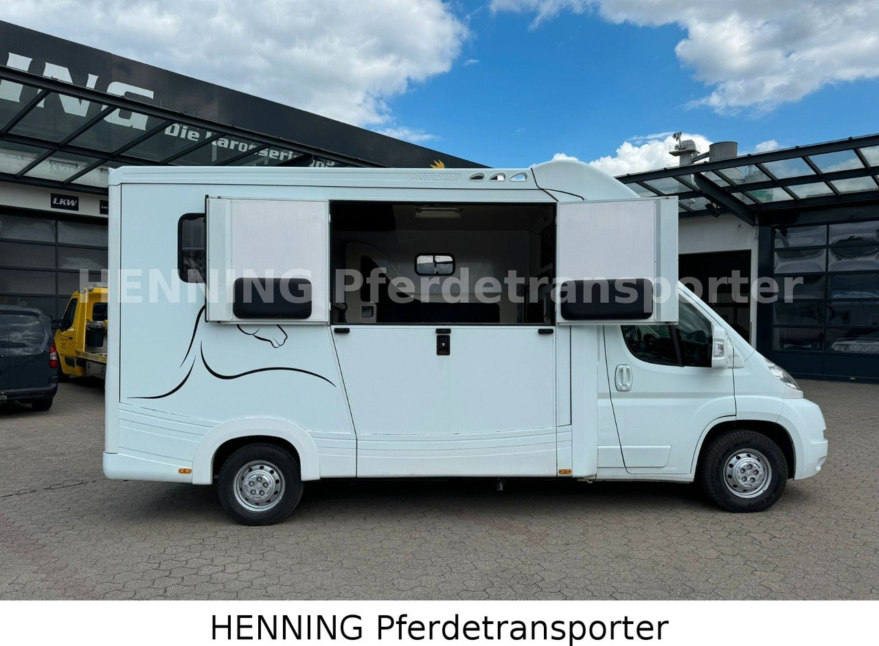 Fiat Ducato 3-Sitzer - Camion chevaux, Véhicule utilitaire: photos 3 Fiat Ducato 3-Sitzer - Camion chevaux, Véhicule utilitaire: photos 3