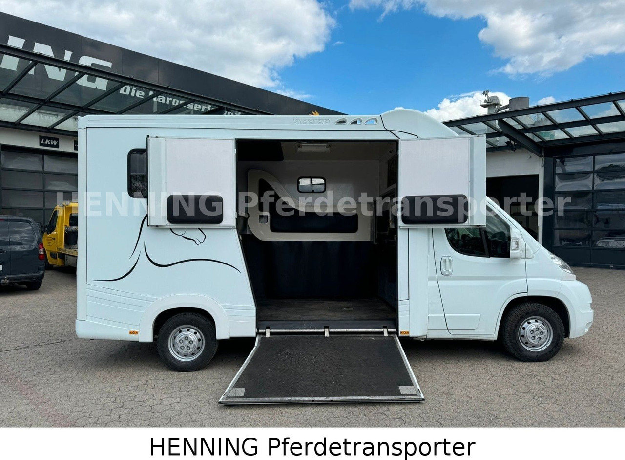 Fiat Ducato 3-Sitzer - Camion chevaux, Véhicule utilitaire: photos 4 Fiat Ducato 3-Sitzer - Camion chevaux, Véhicule utilitaire: photos 4