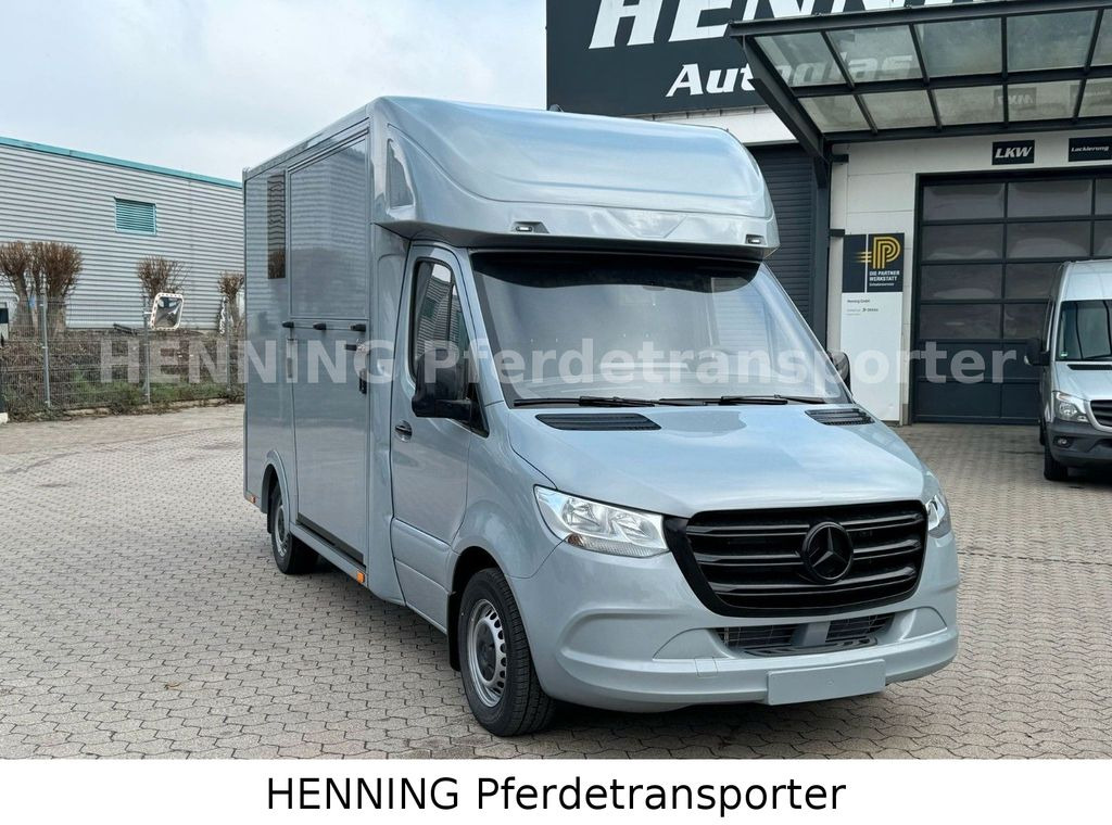 Mercedes-Benz Sprinter 3 - Sitzer *NEUFAHRZEUG* - Camion chevaux: photos 2 Mercedes-Benz Sprinter 3 - Sitzer *NEUFAHRZEUG* - Camion chevaux: photos 2