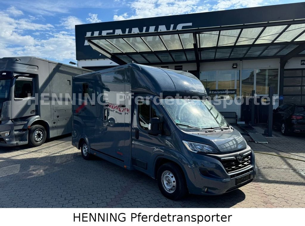 Opel Movano 3 - Sitzer *AUFBAU NEU* - Camion chevaux: photos 1 Opel Movano 3 - Sitzer *AUFBAU NEU* - Camion chevaux: photos 1