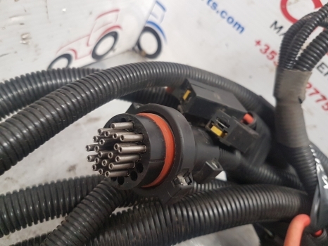 Landini Vision 95 Engine Front Wiring Loom Complete 3674688m91, 3679168m91 - Câble/ Fil pour Tracteur agricole: photos 5 Landini Vision 95 Engine Front Wiring Loom Complete 3674688m91, 3679168m91 - Câble/ Fil pour Tracteur agricole: photos 5