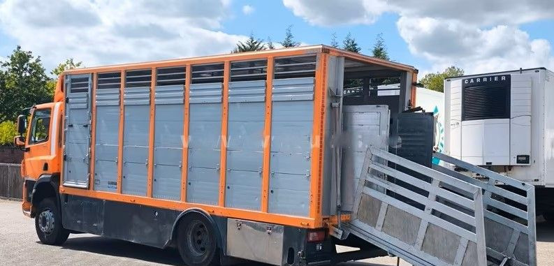 DAF CF 400 Menke Einstock | Transport zwierząt jednopoziomowy | 2 kratownice do bydła| Retarder | Euro 6 - Camion bétaillère: photos 4 DAF CF 400 Menke Einstock | Transport zwierząt jednopoziomowy | 2 kratownice do bydła| Retarder | Euro 6 - Camion bétaillère: photos 4