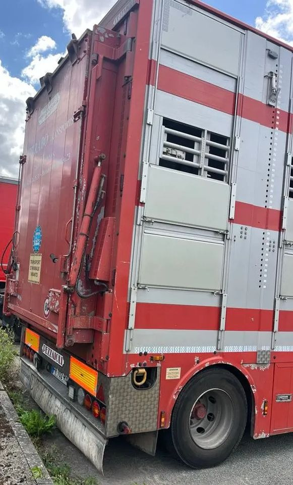 DAF XF 530 + Przyczepa Pezzaoli - 3X Trzoda, 2 X Bydło I 3 poziomy I Podnoszony dach I Hydroburta I Osie Skrętne I Poidła I Wentylatory I Pilot Manualny | - Camion bétaillère: photos 5 DAF XF 530 + Przyczepa Pezzaoli - 3X Trzoda, 2 X Bydło I 3 poziomy I Podnoszony dach I Hydroburta I Osie Skrętne I Poidła I Wentylatory I Pilot Manualny | - Camion bétaillère: photos 5
