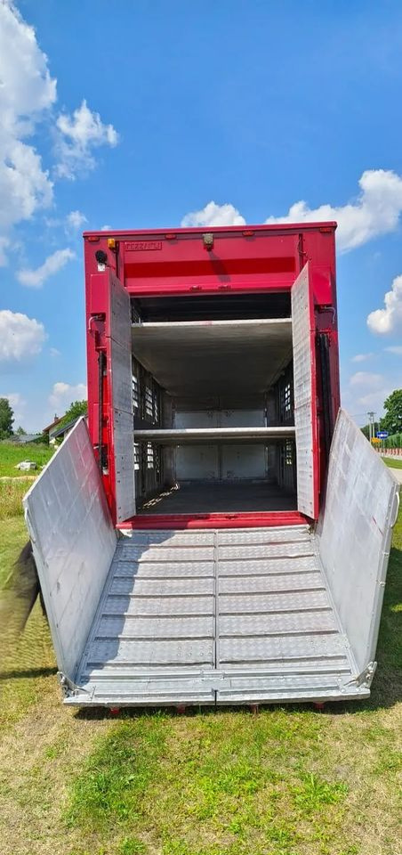 Crédit-bail  Pezzaioli RBA 32/TRZYOSIOWA PRZYCZEPA-2XBYDŁO,3X TRZODA/HYDRAULICZNIE PODNOSZONY DACH I PODŁOGI / OŚ ŚRODKOWA PODNOSZONA Pezzaioli RBA 32/TRZYOSIOWA PRZYCZEPA-2XBYDŁO,3X TRZODA/HYDRAULICZNIE PODNOSZONY DACH I PODŁOGI / OŚ ŚRODKOWA PODNOSZONA: photos 8