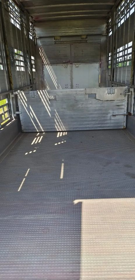 Crédit-bail  Pezzaioli RBA 32/TRZYOSIOWA PRZYCZEPA-2XBYDŁO,3X TRZODA/HYDRAULICZNIE PODNOSZONY DACH I PODŁOGI / OŚ ŚRODKOWA PODNOSZONA Pezzaioli RBA 32/TRZYOSIOWA PRZYCZEPA-2XBYDŁO,3X TRZODA/HYDRAULICZNIE PODNOSZONY DACH I PODŁOGI / OŚ ŚRODKOWA PODNOSZONA: photos 15