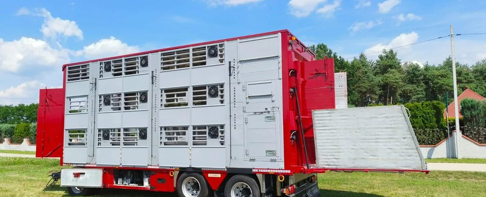 Pezzaioli RBA 32/TRZYOSIOWA PRZYCZEPA-2XBYDŁO,3X TRZODA/HYDRAULICZNIE PODNOSZONY DACH I PODŁOGI / OŚ ŚRODKOWA PODNOSZONA - Remorque bétaillère: photos 2 Pezzaioli RBA 32/TRZYOSIOWA PRZYCZEPA-2XBYDŁO,3X TRZODA/HYDRAULICZNIE PODNOSZONY DACH I PODŁOGI / OŚ ŚRODKOWA PODNOSZONA - Remorque bétaillère: photos 2