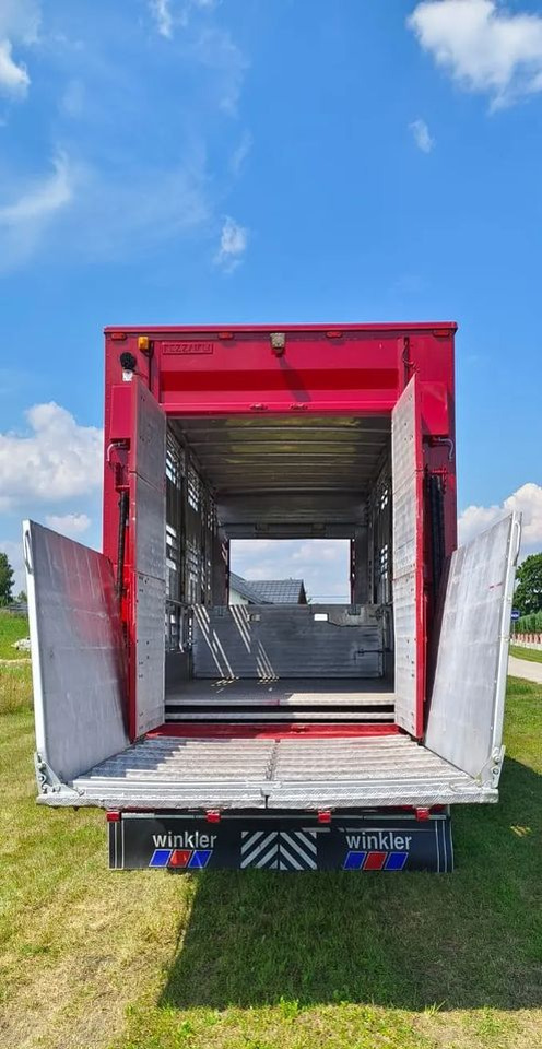 Crédit-bail  Pezzaioli RBA 32/TRZYOSIOWA PRZYCZEPA-2XBYDŁO,3X TRZODA/HYDRAULICZNIE PODNOSZONY DACH I PODŁOGI / OŚ ŚRODKOWA PODNOSZONA Pezzaioli RBA 32/TRZYOSIOWA PRZYCZEPA-2XBYDŁO,3X TRZODA/HYDRAULICZNIE PODNOSZONY DACH I PODŁOGI / OŚ ŚRODKOWA PODNOSZONA: photos 18