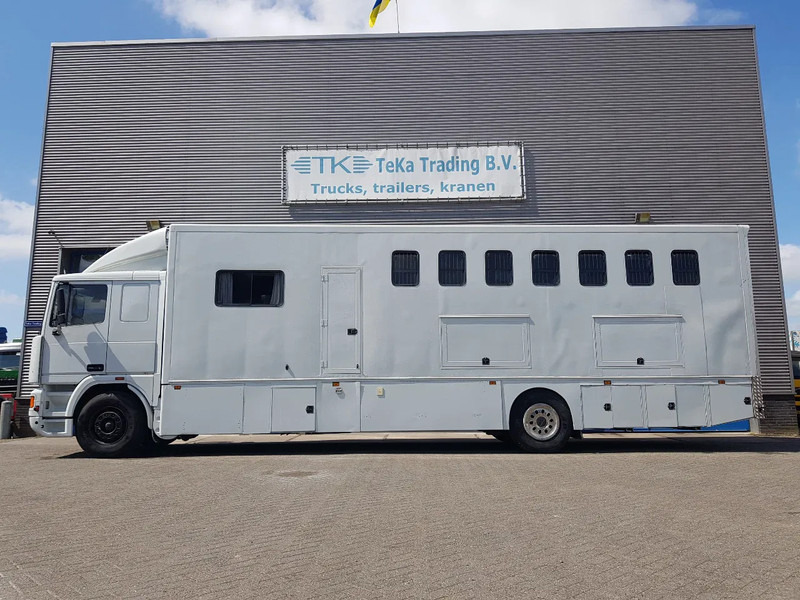 DAF 95.350 Paardenwagen met zitverblijf 7 paarden 7 horses - Camion chevaux: photos 3 DAF 95.350 Paardenwagen met zitverblijf 7 paarden 7 horses - Camion chevaux: photos 3