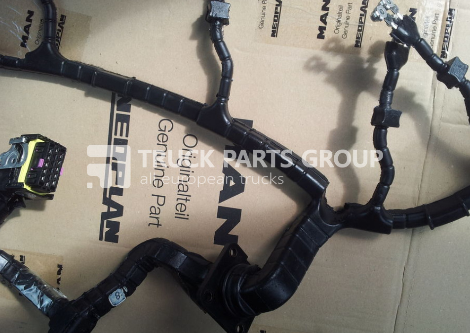 MAN TGA, TGX, TGS, TGM, TGL, EURO3, EURO4, EURO5, EURO6 cable harnes wiring - Câble/ Fil pour Camion: photos 1 MAN TGA, TGX, TGS, TGM, TGL, EURO3, EURO4, EURO5, EURO6 cable harnes wiring - Câble/ Fil pour Camion: photos 1
