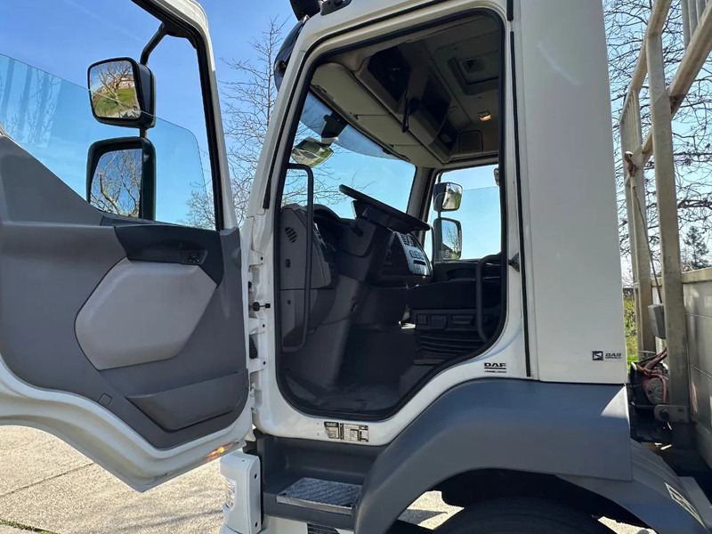DAF LF 250 / NL TRUCK / EURO6 / LENGTE BAK 950cm / 12T - Camion porte-voitures: photos 5 DAF LF 250 / NL TRUCK / EURO6 / LENGTE BAK 950cm / 12T - Camion porte-voitures: photos 5