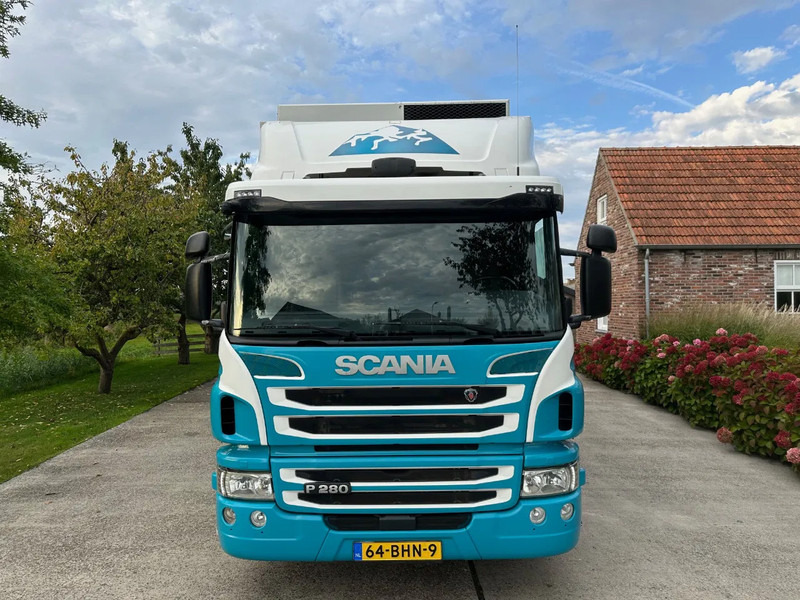 Scania P280 / NL TRUCK / FRIGOBLOCK FK 13(2019) / 2000kg LIFT / TOPCONDITION!! - Camion frigorifique: photos 3 Scania P280 / NL TRUCK / FRIGOBLOCK FK 13(2019) / 2000kg LIFT / TOPCONDITION!! - Camion frigorifique: photos 3
