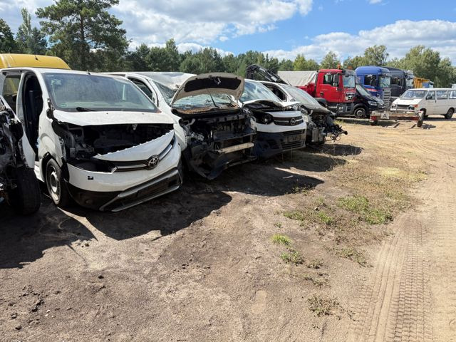 Toyota Proace L1 Kasten Meister ERSATZTEILENSPENDER - Fourgonnette: photos 3 Toyota Proace L1 Kasten Meister ERSATZTEILENSPENDER - Fourgonnette: photos 3