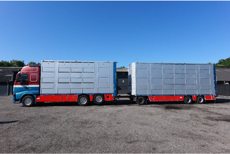 Volvo FH 13 480 6x2 3 stock livestock transport Cuppers - Camion bétaillère: photos 1 Volvo FH 13 480 6x2 3 stock livestock transport Cuppers - Camion bétaillère: photos 1