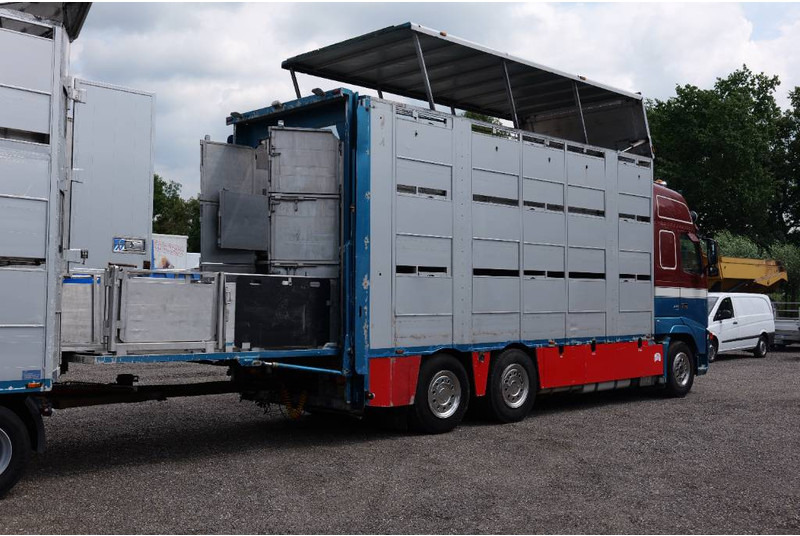 Volvo FH 13 480 6x2 3 stock livestock transport Cuppers - Camion bétaillère: photos 5 Volvo FH 13 480 6x2 3 stock livestock transport Cuppers - Camion bétaillère: photos 5