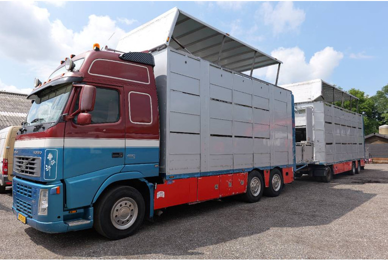 Volvo FH 13 480 6x2 3 stock livestock transport Cuppers - Camion bétaillère: photos 2 Volvo FH 13 480 6x2 3 stock livestock transport Cuppers - Camion bétaillère: photos 2