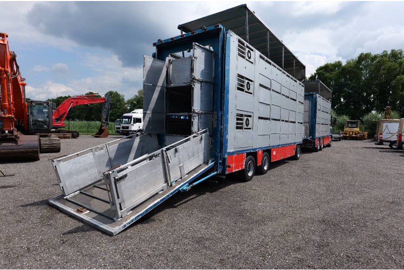 Volvo FH 13 480 6x2 3 stock livestock transport Cuppers - Camion bétaillère: photos 3 Volvo FH 13 480 6x2 3 stock livestock transport Cuppers - Camion bétaillère: photos 3