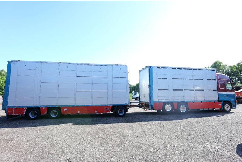 Volvo FH 13 480 6x2 3 stock livestock transport Cuppers - Camion bétaillère: photos 4 Volvo FH 13 480 6x2 3 stock livestock transport Cuppers - Camion bétaillère: photos 4