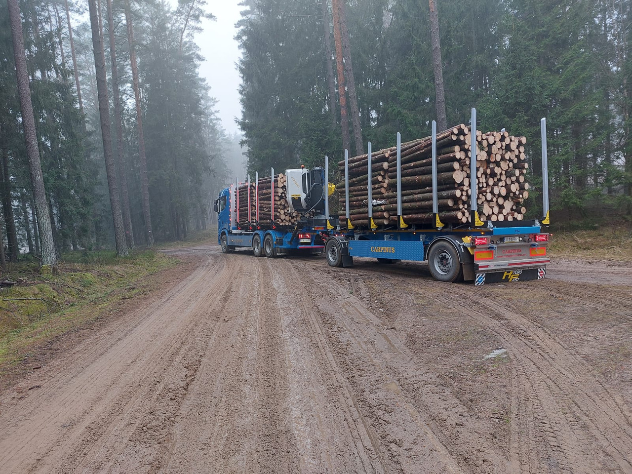 Hydrofast Przyczepa 2 osiowa do drewna stosowego HFP2/2-axle timber trailer HFP2 - Remorque grumier: photos 3 Hydrofast Przyczepa 2 osiowa do drewna stosowego HFP2/2-axle timber trailer HFP2 - Remorque grumier: photos 3