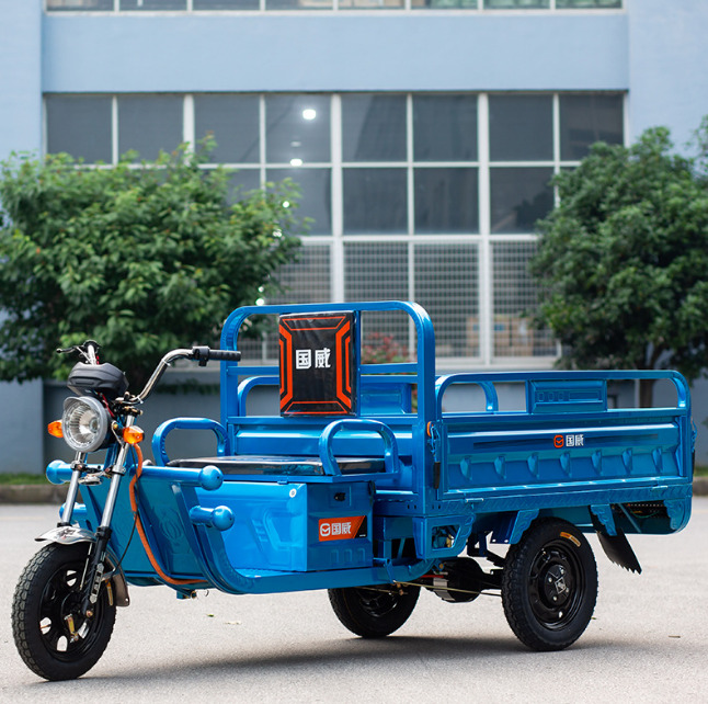 Guowei Cargo 3 wheels Electric Tricycle - Motocyclette: photos 2 Guowei Cargo 3 wheels Electric Tricycle - Motocyclette: photos 2