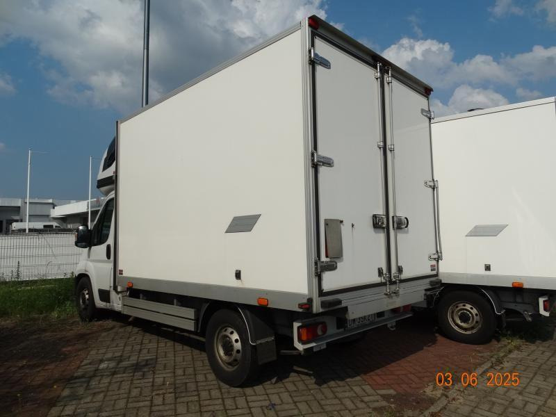 FIAT DUCATO CHŁODNIA/IZOTERMA - Véhicule utilitaire frigorifique: photos 3 FIAT DUCATO CHŁODNIA/IZOTERMA - Véhicule utilitaire frigorifique: photos 3