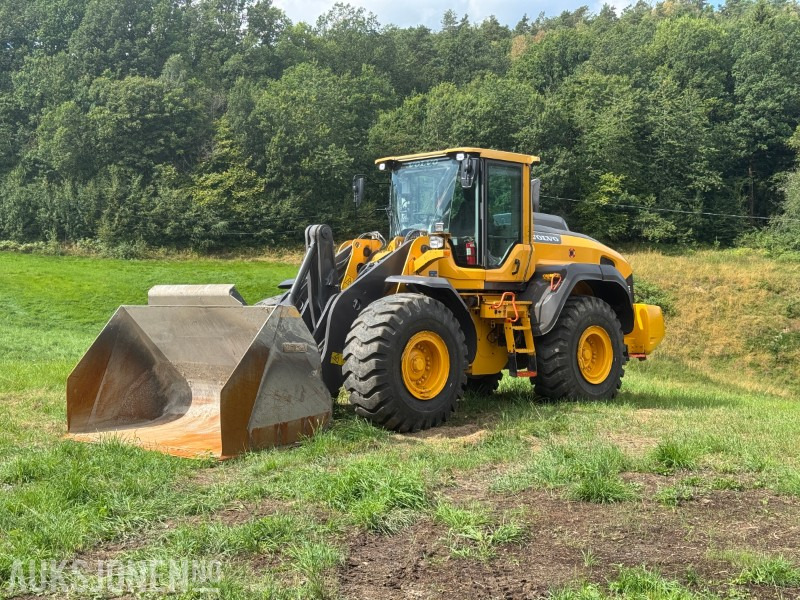 Chargeuse sur pneus 2016 Volvo L110H Hjullaster - Spakestyring - Vekt: photos 1