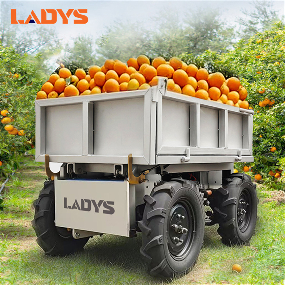 LADYS All-Terrain Four-Wheel Drive And Eight-Wheel Drive Transport Truck, Mountain Area Farm Orchard Greenhouse Construction Site Creeper Remote Control Electric Agricultural Transport Vehicle - Quadricycle: photos 1 LADYS All-Terrain Four-Wheel Drive And Eight-Wheel Drive Transport Truck, Mountain Area Farm Orchard Greenhouse Construction Site Creeper Remote Control Electric Agricultural Transport Vehicle - Quadricycle: photos 1