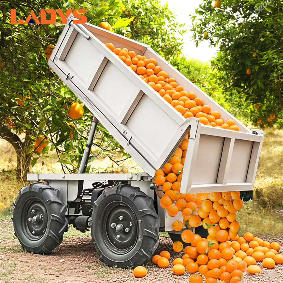 LADYS D-600 All-Terrain Four-Wheel Drive And Eight-Wheel Drive Transport Truck, Mountain Area Farm Orchard Greenhouse Construction Site Creeper Remote Control Electric Agricultural Transport Vehicle - Quadricycle: photos 1 LADYS D-600 All-Terrain Four-Wheel Drive And Eight-Wheel Drive Transport Truck, Mountain Area Farm Orchard Greenhouse Construction Site Creeper Remote Control Electric Agricultural Transport Vehicle - Quadricycle: photos 1