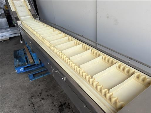 NNP Flighted elevator conveyor - Convoyeur: photos 3 NNP Flighted elevator conveyor - Convoyeur: photos 3
