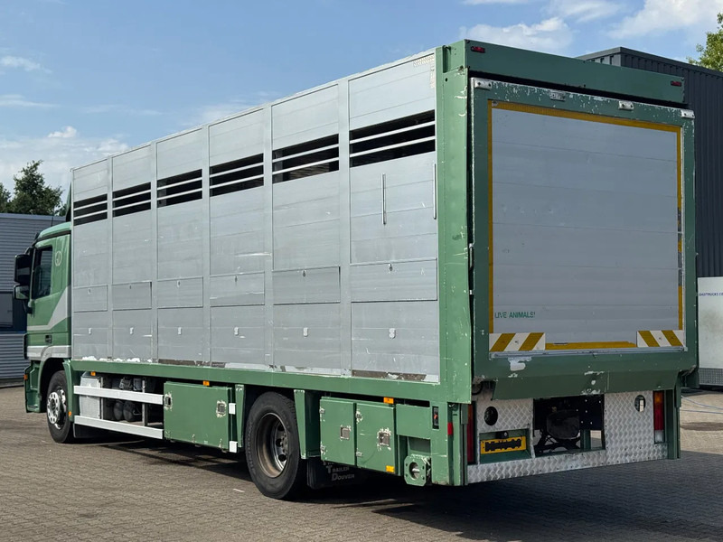 Mercedes-Benz Actros 1832 L 1 - 2 Stock Animal Transport - Camion bétaillère: photos 4 Mercedes-Benz Actros 1832 L 1 - 2 Stock Animal Transport - Camion bétaillère: photos 4