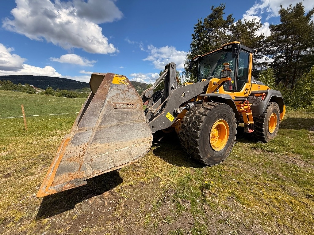 Volvo L 110 H - Chargeuse sur pneus: photos 4 Volvo L 110 H - Chargeuse sur pneus: photos 4