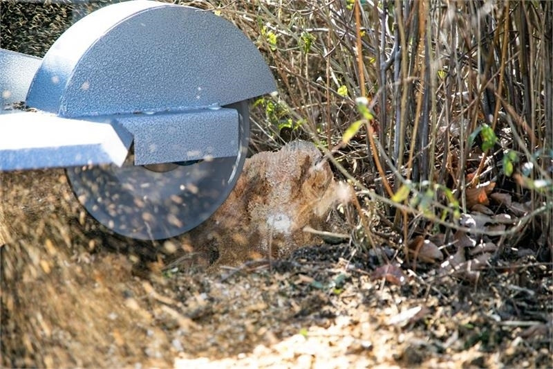 Dk-Tec - Fendeuse de bûches: photos 5 Dk-Tec - Fendeuse de bûches: photos 5