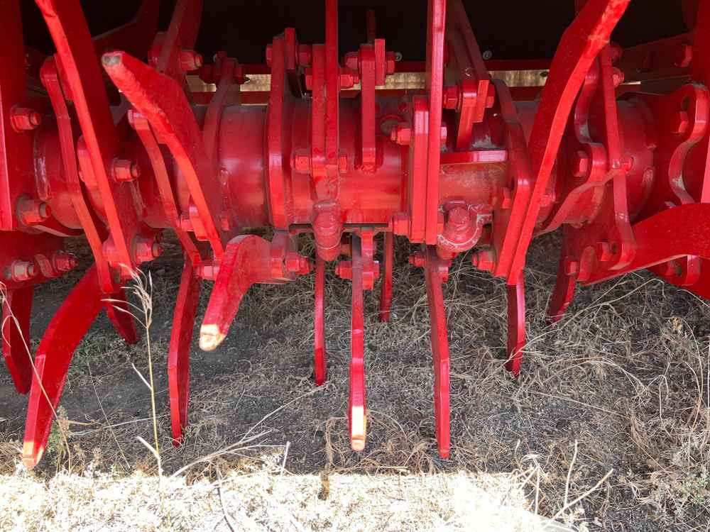 Grimme GF 800 - Matériel de récolte: photos 3 Grimme GF 800 - Matériel de récolte: photos 3