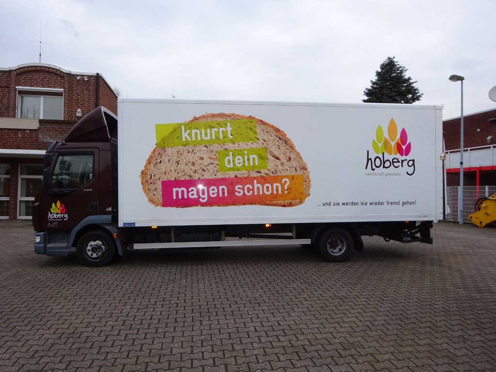 DAF LF 220 Koffer mit Palfinger LBW 4x2 - Fourgon: photos 3 DAF LF 220 Koffer mit Palfinger LBW 4x2 - Fourgon: photos 3