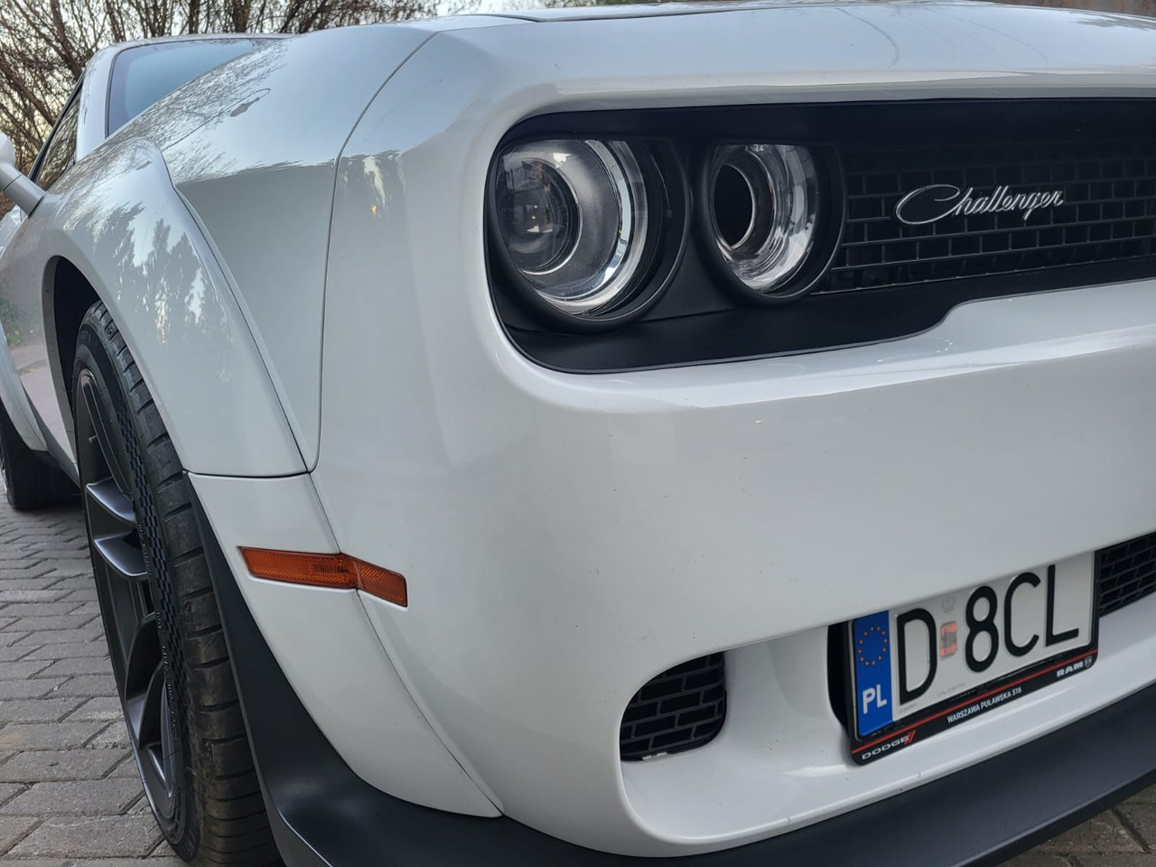 Dodge Challenger - Voiture: photos 2 Dodge Challenger - Voiture: photos 2