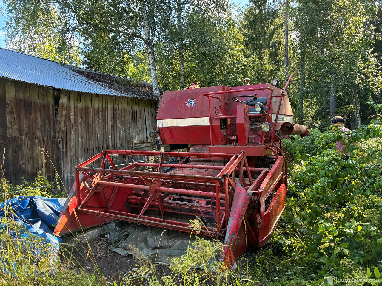 Massey Ferguson 186 Leikkuupuimuri, Kangasala - Machine agricole: photos 2 Massey Ferguson 186 Leikkuupuimuri, Kangasala - Machine agricole: photos 2