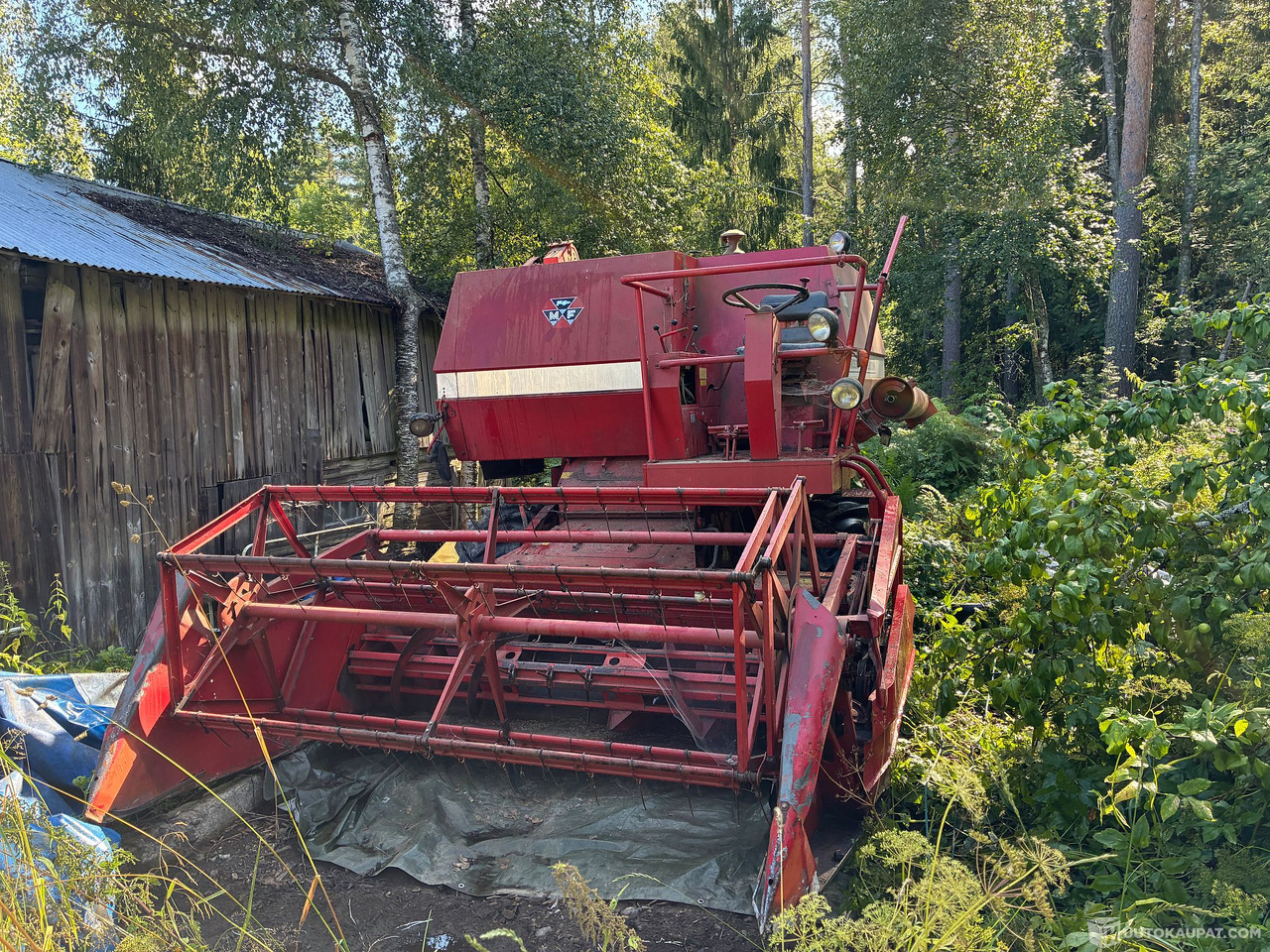 Massey Ferguson 186 Leikkuupuimuri, Kangasala - Machine agricole: photos 4 Massey Ferguson 186 Leikkuupuimuri, Kangasala - Machine agricole: photos 4