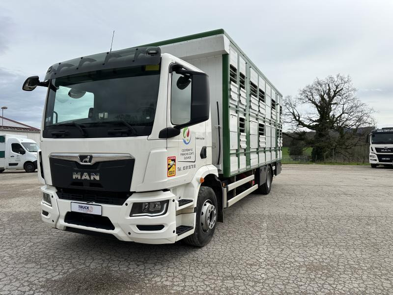 MAN M 90 15.290 TGM - Camion bétaillère: photos 1 MAN M 90 15.290 TGM - Camion bétaillère: photos 1