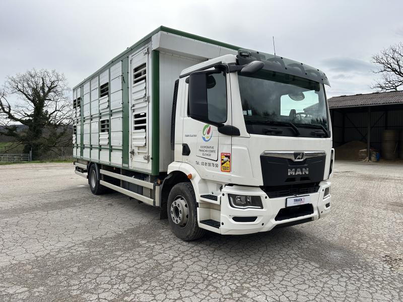 MAN M 90 15.290 TGM - Camion bétaillère: photos 2 MAN M 90 15.290 TGM - Camion bétaillère: photos 2