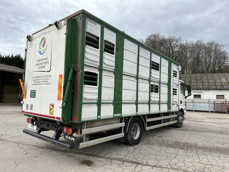 MAN M 90 15.290 TGM - Camion bétaillère: photos 5 MAN M 90 15.290 TGM - Camion bétaillère: photos 5